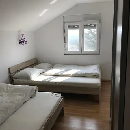 Livk Debeljak